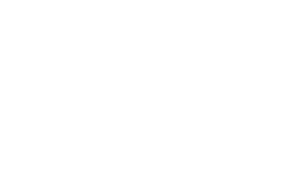 webfair white logo